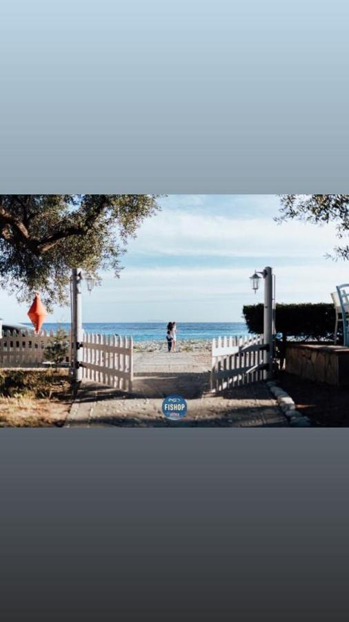 Lodge Fishop At Altea